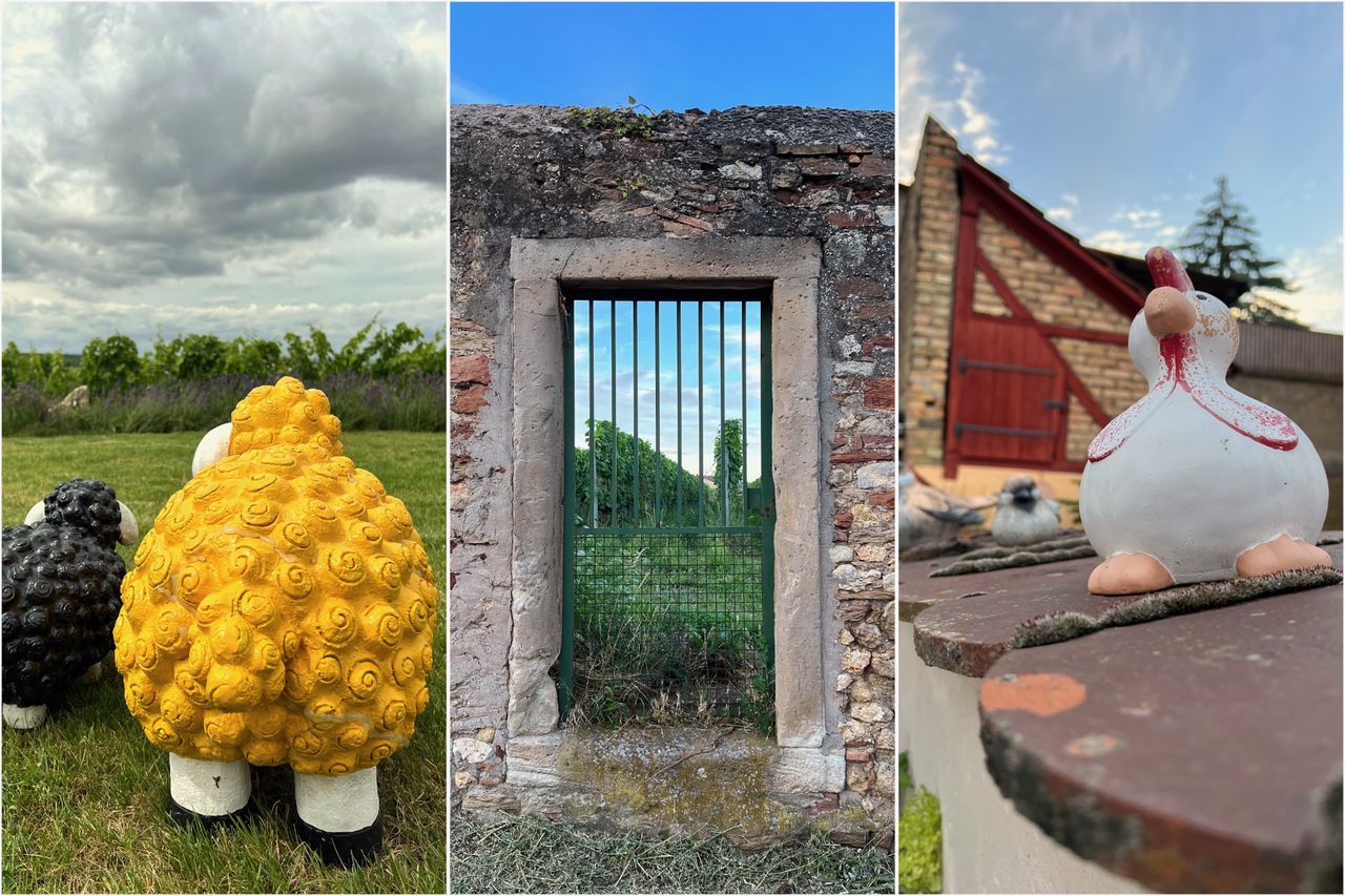 Eine Collage aus drei Bildern: Links eine Gruppe bunter Schafskulpturen vor bewölktem Himmel und grünen Weinreben, in der Mitte ein alter, steinerner Türrahmen mit einem Gitter, durch das man einen Weinberg im Hintergrund sieht, rechts eine Keramikfigur eines Huhns vor einer rustikalen Scheune mit roter Türe.